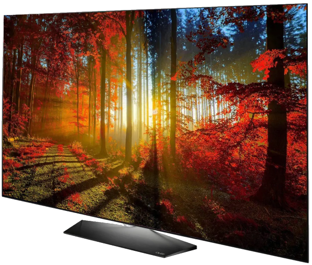 OLED65B6
